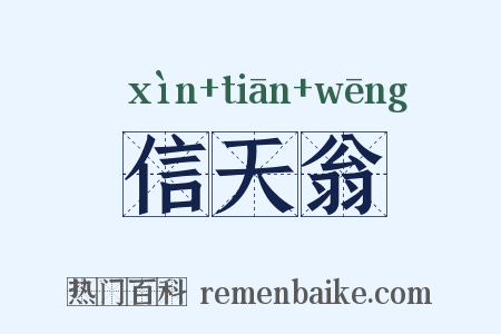 信天翁是什么意思的图片